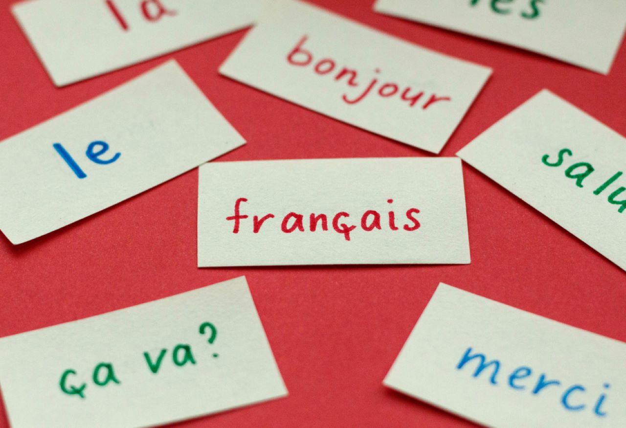 درباره زبان فرانسه